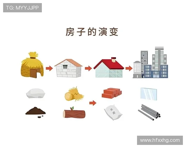 B费：从前腰到自由核心的角色演变解析